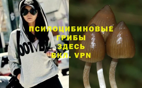 экстази Ладушкин